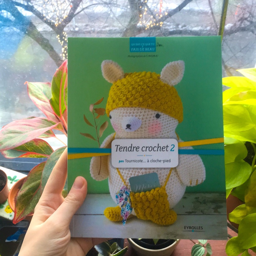 3/20$⭐️Livre patron peluche amigurumi crochet(fr)